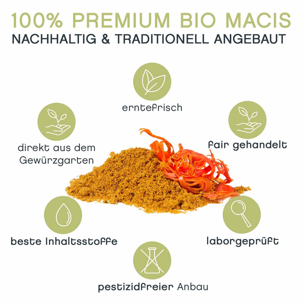 Buzdygan mielony, ORGANIC, 100g