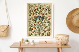 Plakat Vintage frugt - Millot