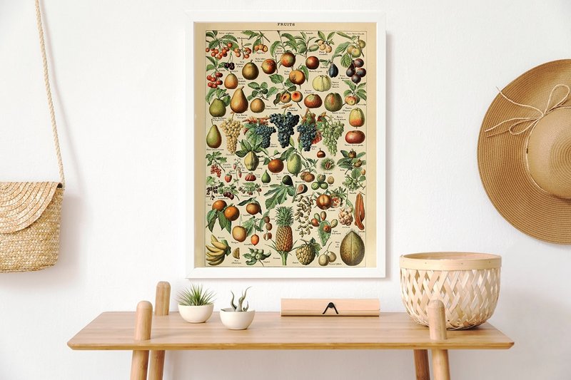 Plakat Vintage frugt - Millot