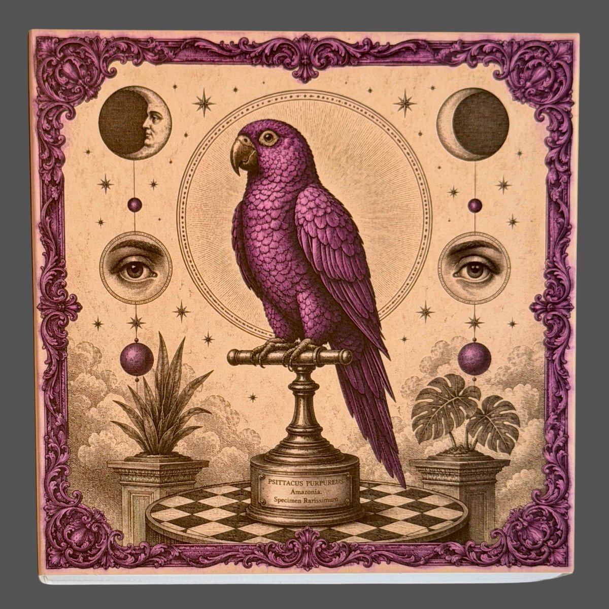 Curiosity Parrot Matches