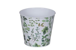 Pot of herbs