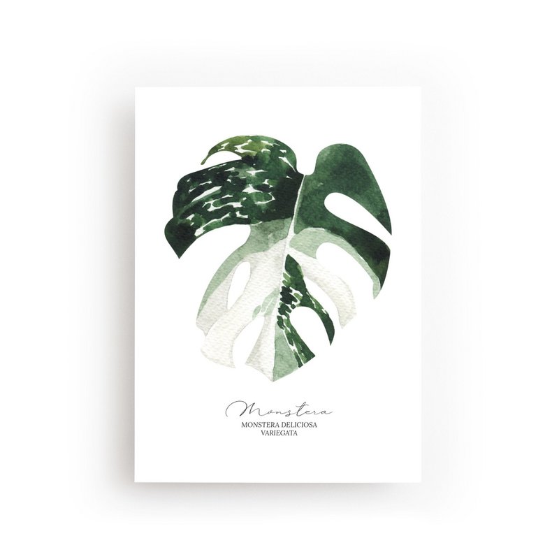 Cartolina di Monstera