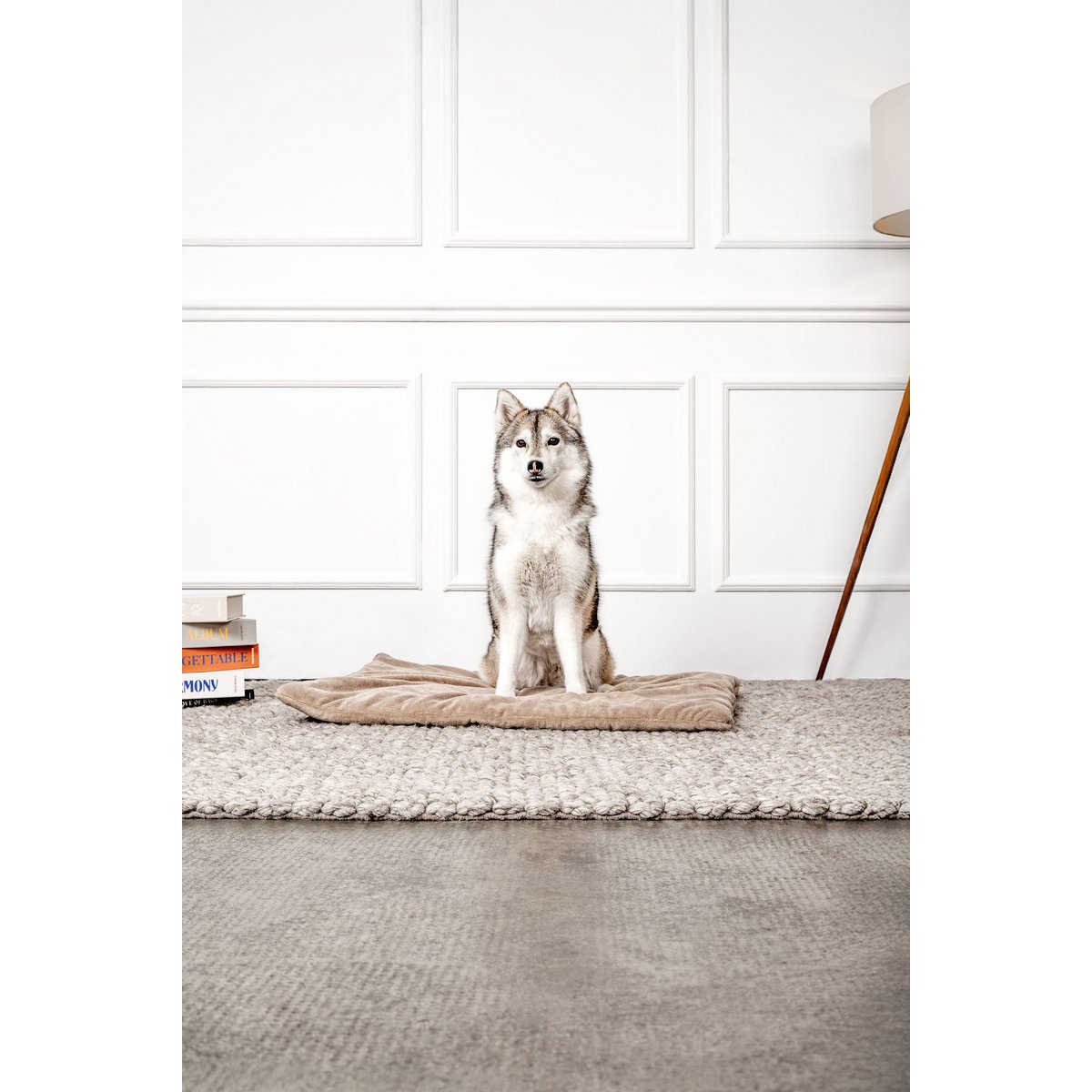 Hundedecke Emma Beige (végétalien)