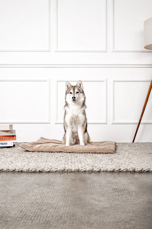 Hundedecke Emma Beige (vegansk)