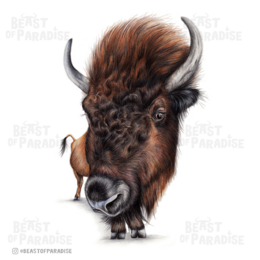 Sjovt Bison lykønskningskort, fødselsdagskort, 4,72'' x 6,69''