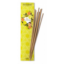 Esteban Paris NL