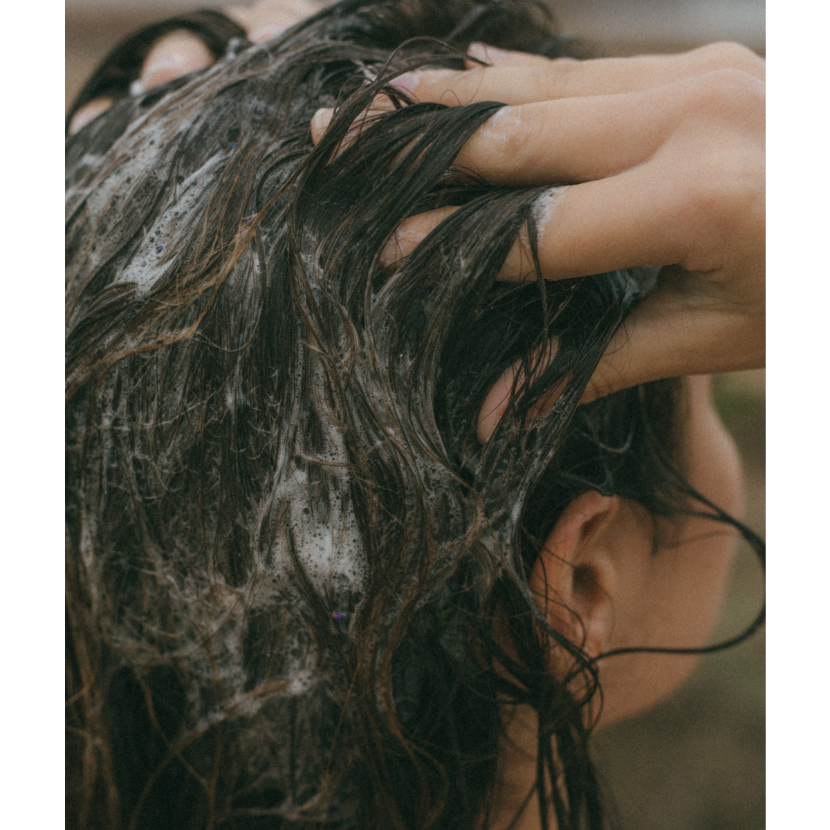 Recharge Shampoing pour cheveux gras