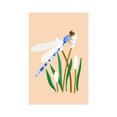 Mini card dragonfly