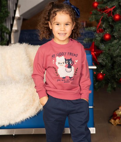 Little Llama Sweatshirt & Jogger Set