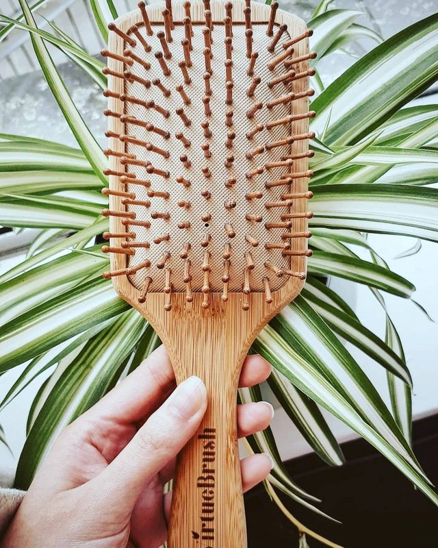 Cepillo de pelo de paleta de bambú