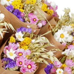 Getrocknete Blumen - Markt mehr - Niederländisch