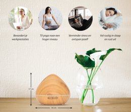 Zen Pro - Helles Holz - Aroma Diffusor
