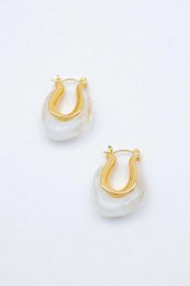 Stainless steel earrings