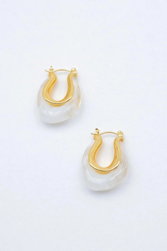 Stainless steel earrings