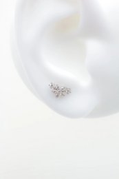 Roestvrijstalen piercings