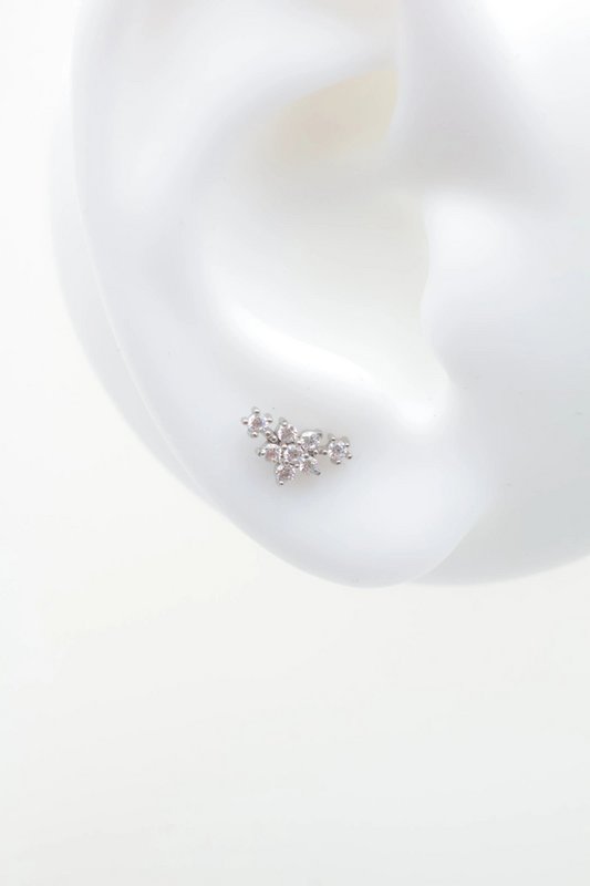 Roestvrijstalen piercings