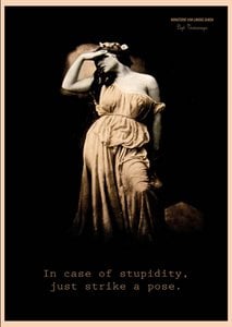 Kaartje - Stupidity