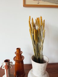 Weizengelbe Trockenblumen