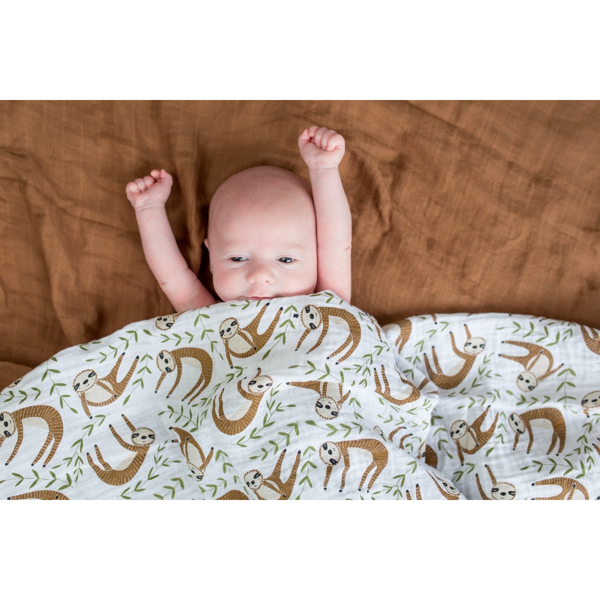 Swaddle Lulujo 120x120 - Paresseux moderne