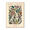 Zoe - Fleurs et Plantes - London
