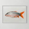 Riso Artprint Fisch Neko, Risographie, DIN A3