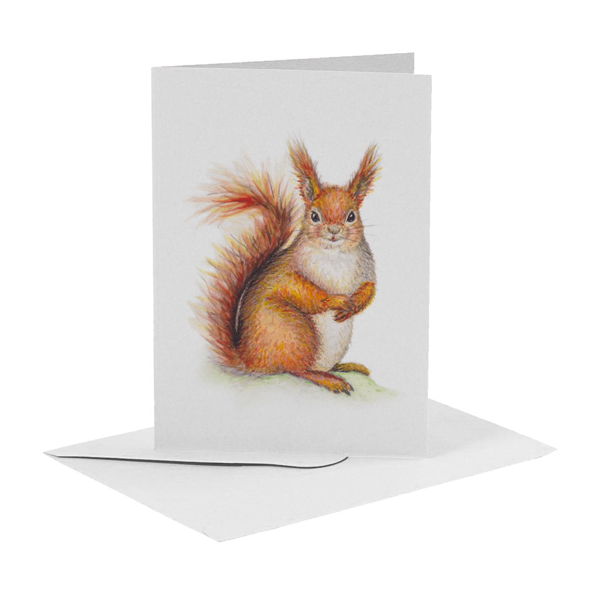 10 greeting cards Dutch animals incl. envelope - hand-painted by Mies to Go - postcard - A6 size