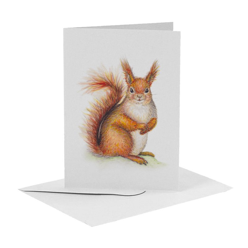 10 biglietti d'auguri con animali olandesi, busta inclusa - dipinti a mano da Mies to Go - cartolina - formato A6