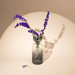 Vase | Handgeblasene, getönte Grande-Size-Farben | Glas