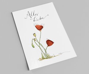 Alles Liebe Postkarte | Klatschmohn | Aquarell und Handlettering