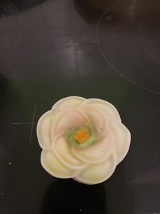 Fresh Cameilla Scented Wax Melt