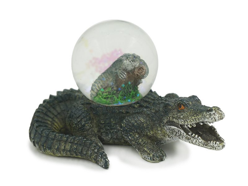 Poly Crocodile med Crocodile Gli