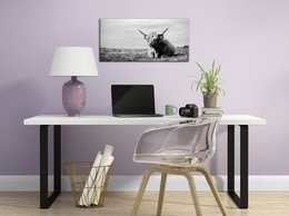 Wandbild HOCHLANDRIND LIEGEND 33x70 cm – Leinwandbild Keilrahmen Deko modern