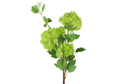 Kunstbloem Viburnum opulus groen- L8B8H86CM