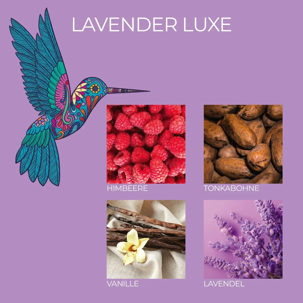 3er Set Duftkerze Frida Kahlo - Momentos elegantes, Mystery de Luna Llena, Lavender Luxe - 3 x 70G