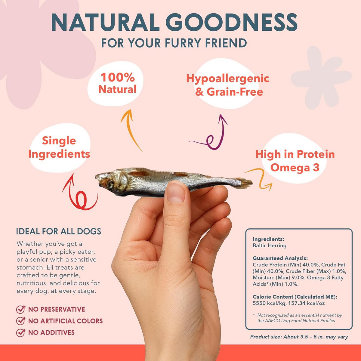 Snack per cani con aringa del Baltico essiccata, naturale, con singolo ingrediente, 80 g