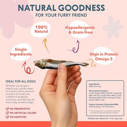 Dried Baltic Herring Natural Single Ingredient Dog Treats 80g