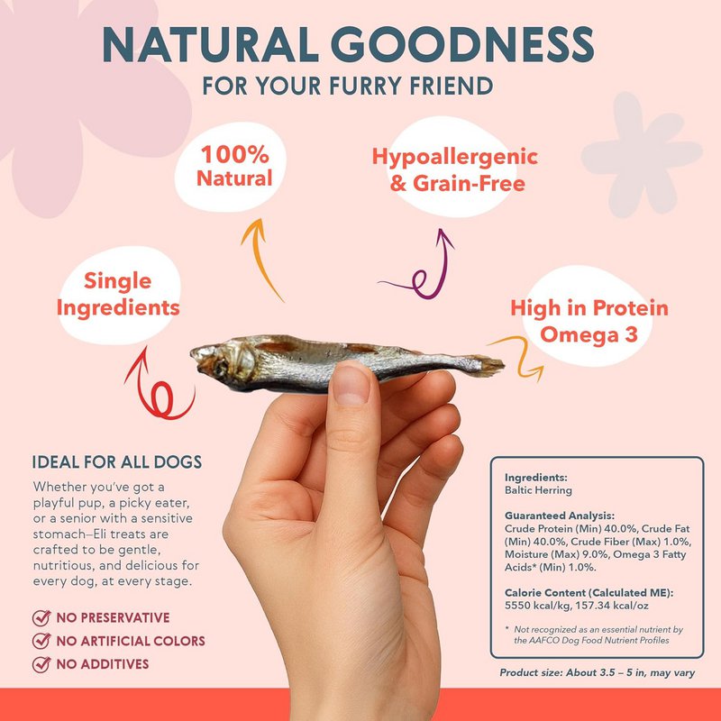 Dried Baltic Herring Natural Single Ingredient Dog Treats 80g