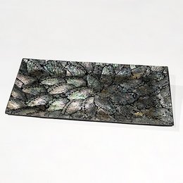 Tray abalone large
