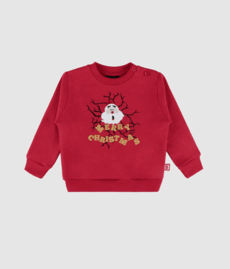 Baby Merry Christmas Embroidered Sweatshirt