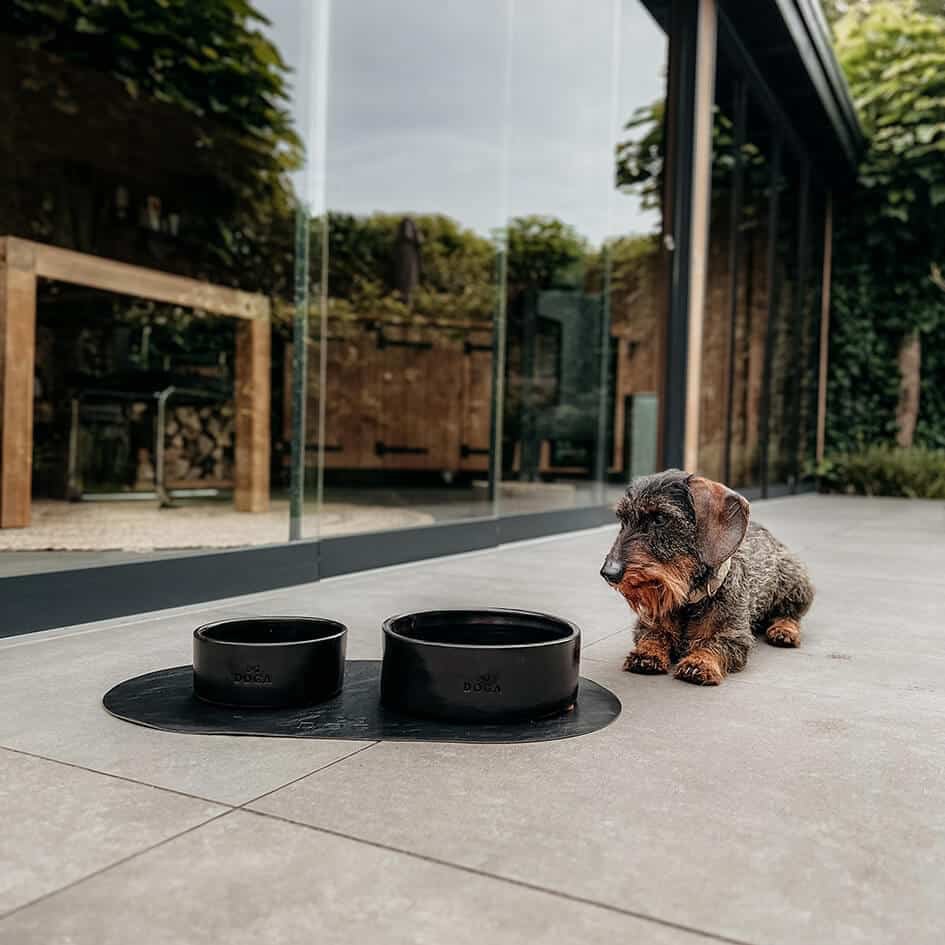 Tazón de comida para perros Etna negro