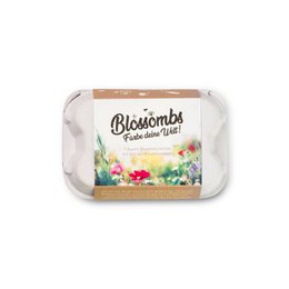 Eierschachtel mit 6 Blumenmurmeln