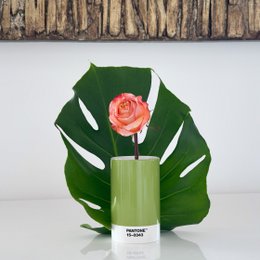 PANTONE by Copenhagen Design