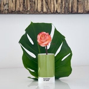 PANTONE PENCIL CUP