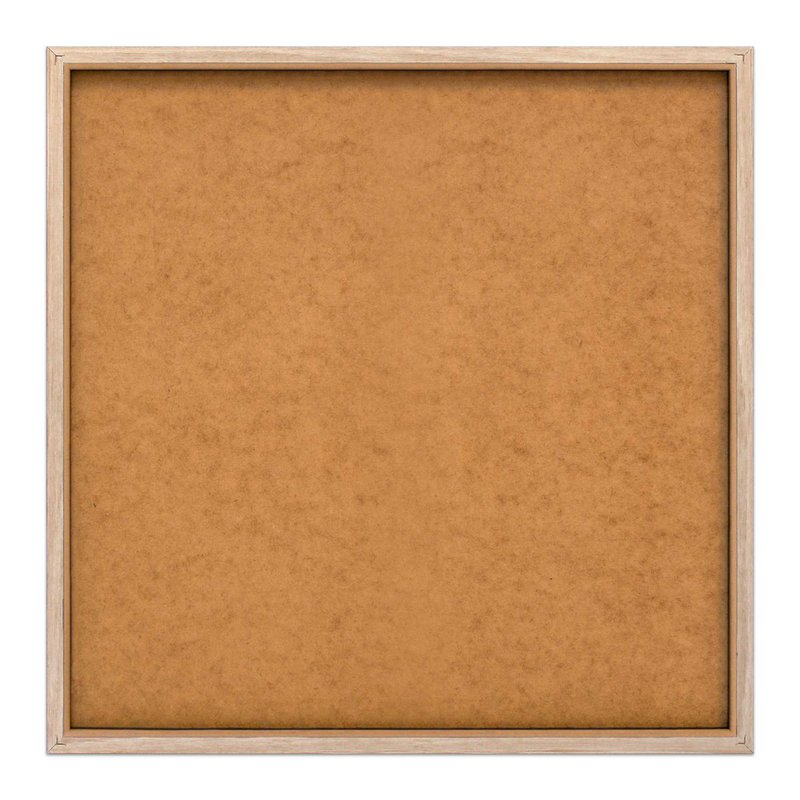 Tableau Slim Cadre Feuilles 50x50
