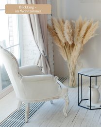 Erba di pampa grande beige 120 cm