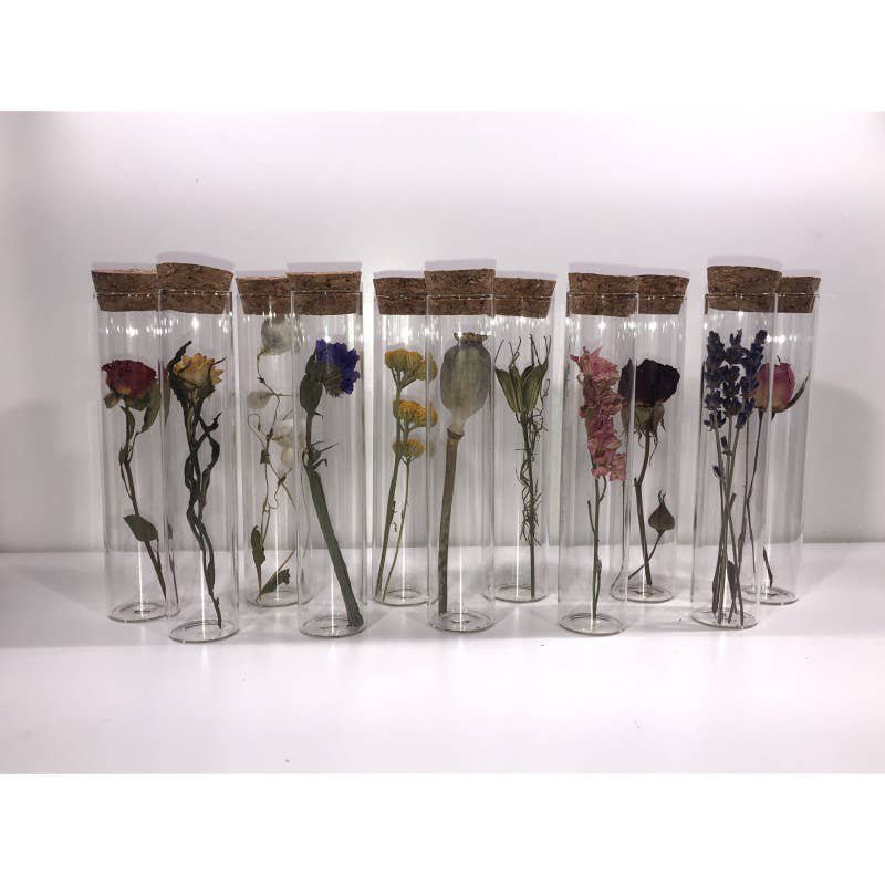 TUBE 10 CM WITH DRIED FLOWER - Gift