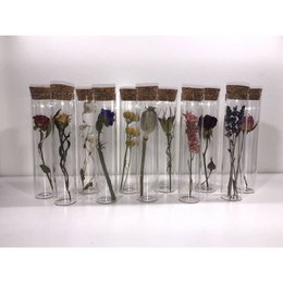TUBE 10 CM WITH DRIED FLOWER - Gift