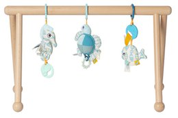 Van Dijk Toys & Dolce Houten Baby Gym Ocean (Childcare Quality)