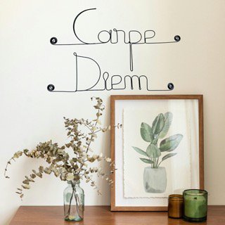 Wire Wall Decoration "Carpe Diem" - to pin - Wall Jewelry