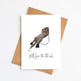 Bonjour du côté de la loutre